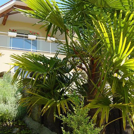 Chambres D'Hotes Coteaux Sud Jurançon エクステリア 写真