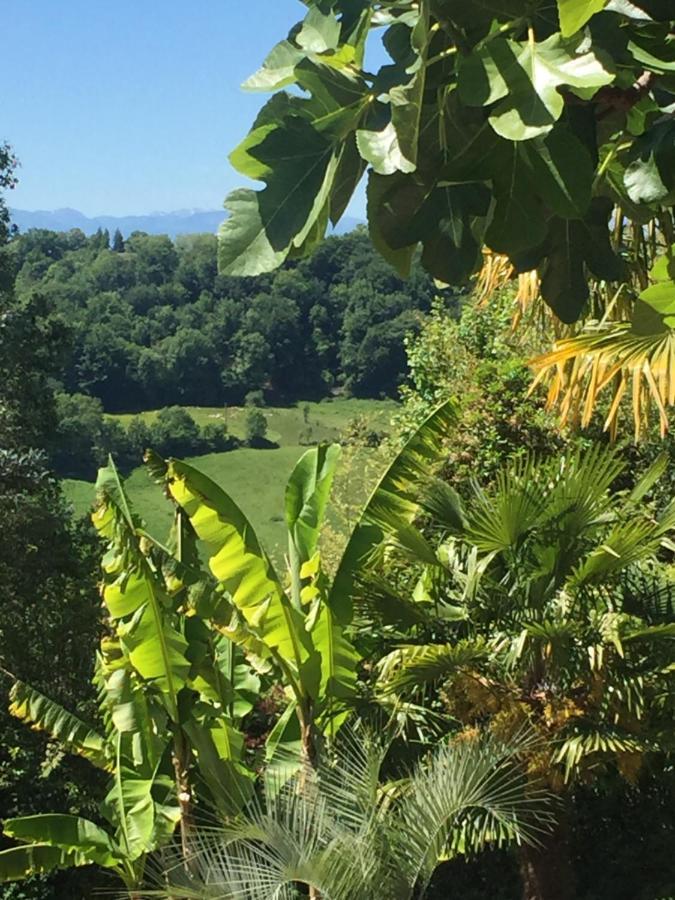 Chambres D'Hotes Coteaux Sud Jurançon エクステリア 写真