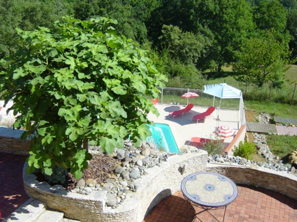 Chambres D'Hotes Coteaux Sud Jurançon エクステリア 写真