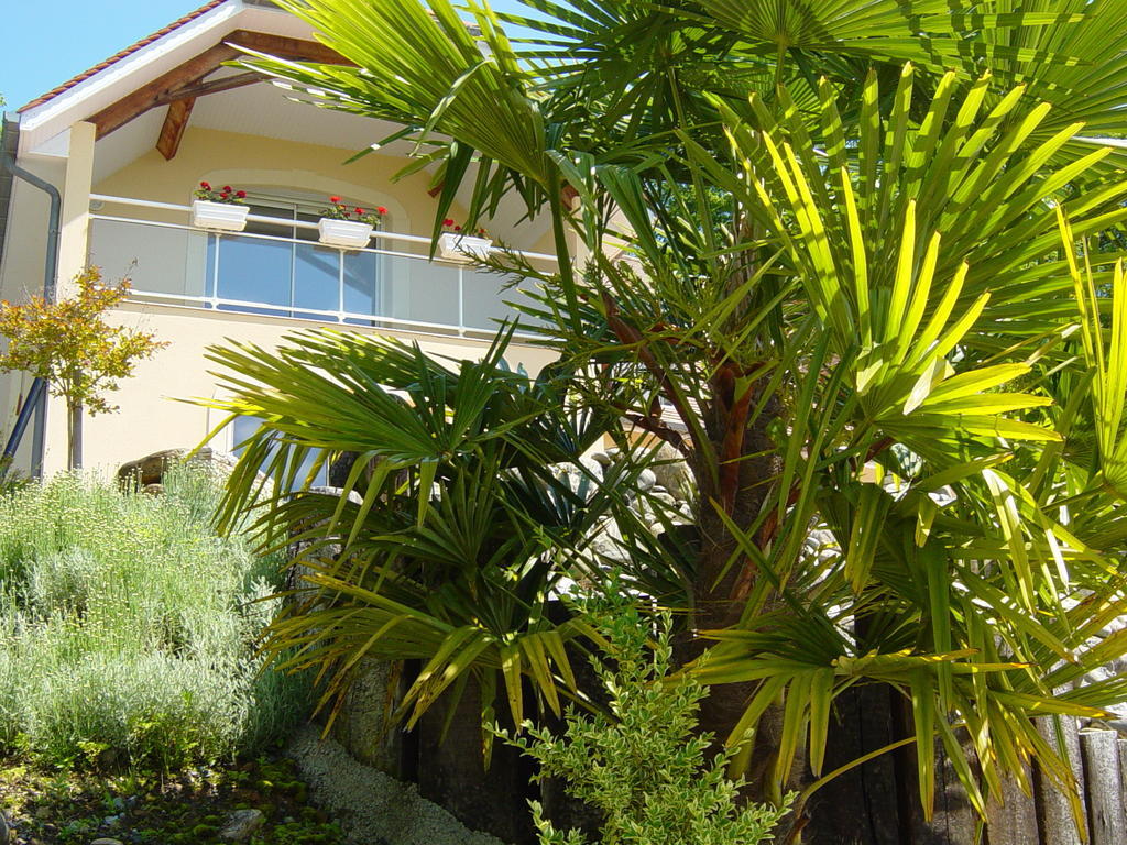 Chambres D'Hotes Coteaux Sud Jurançon エクステリア 写真