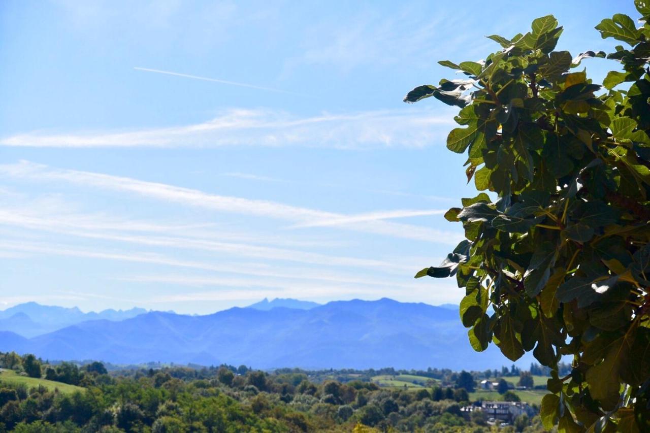 Chambres D'Hotes Coteaux Sud Jurançon エクステリア 写真